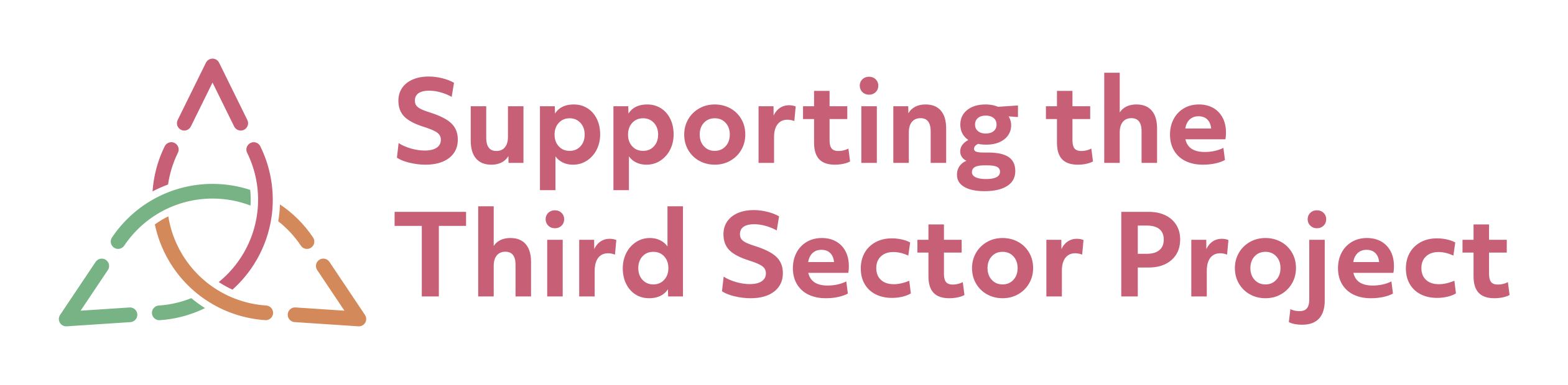 Pink text on a white background Supporting the Third Sector Project. On the left three interconnected eye-shaped discs in green pink and orange