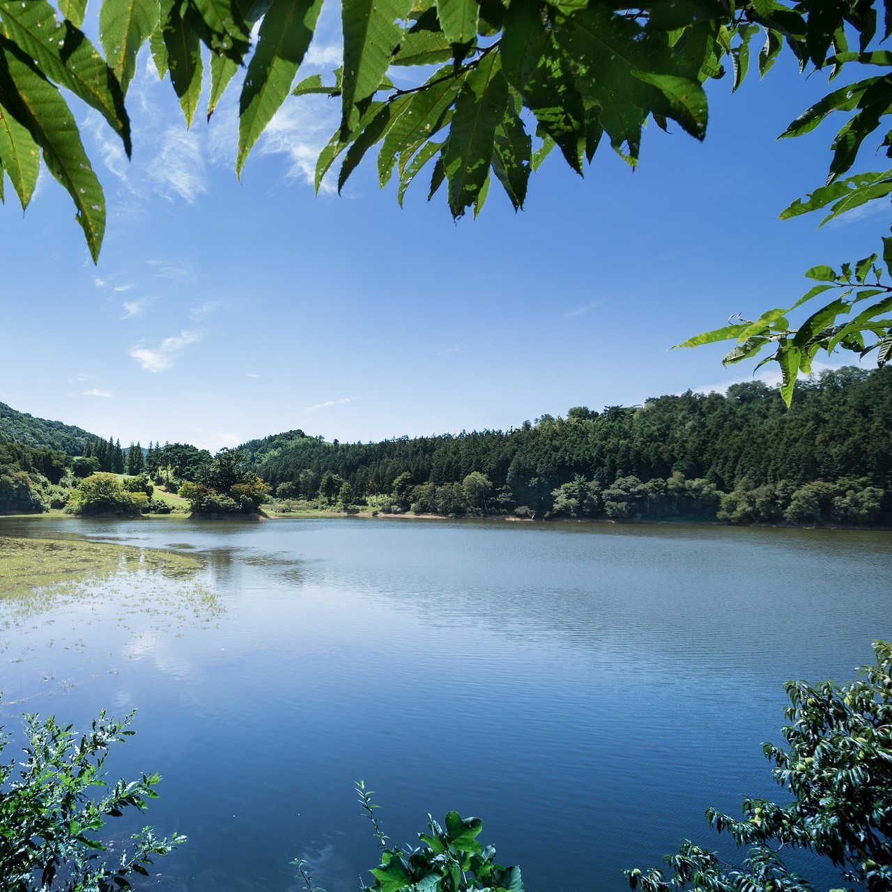 A blue lake with trees visible in the distance. The sky is blue and the image is framed by leaves.