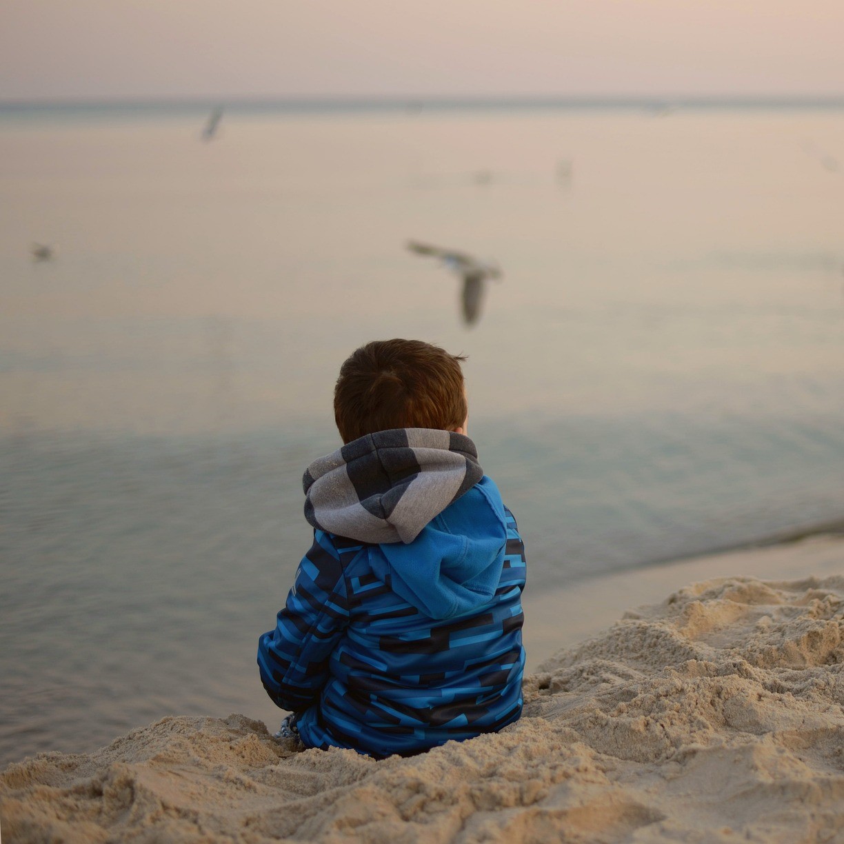 Photo of young child sitting on a sandy beach, facing away from the camera and towards the sea, where birds are flying over the water