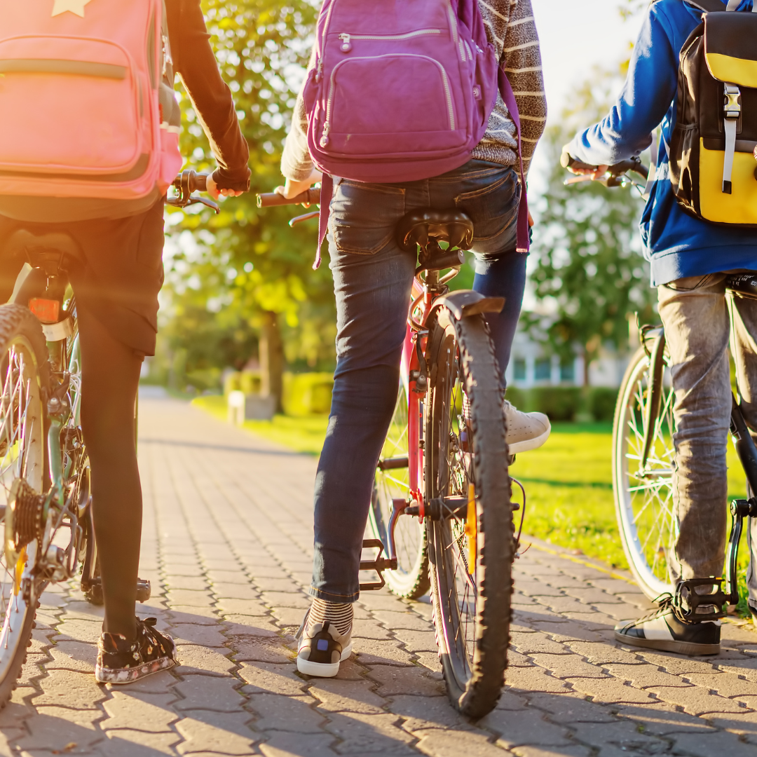 Three people on bikes, where coats and colourful backpacks, are pictured from behind in a sunny park