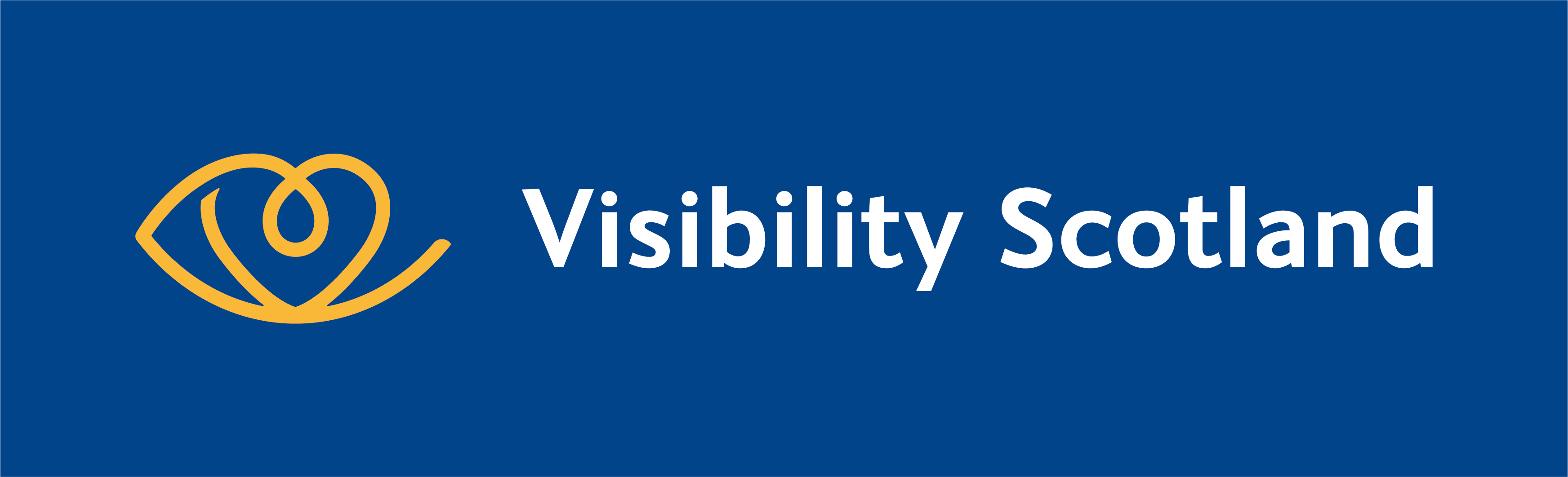 Visibility Scotland_logo - blue background