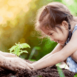 Young girl planting a seedling with the assistance of an adult