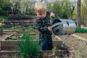 Young boy with a watering can with raised beds